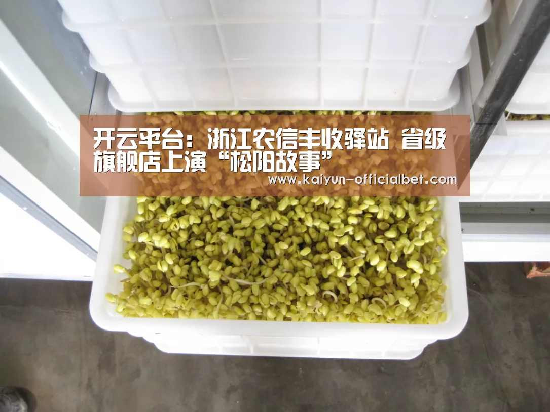 开云平台