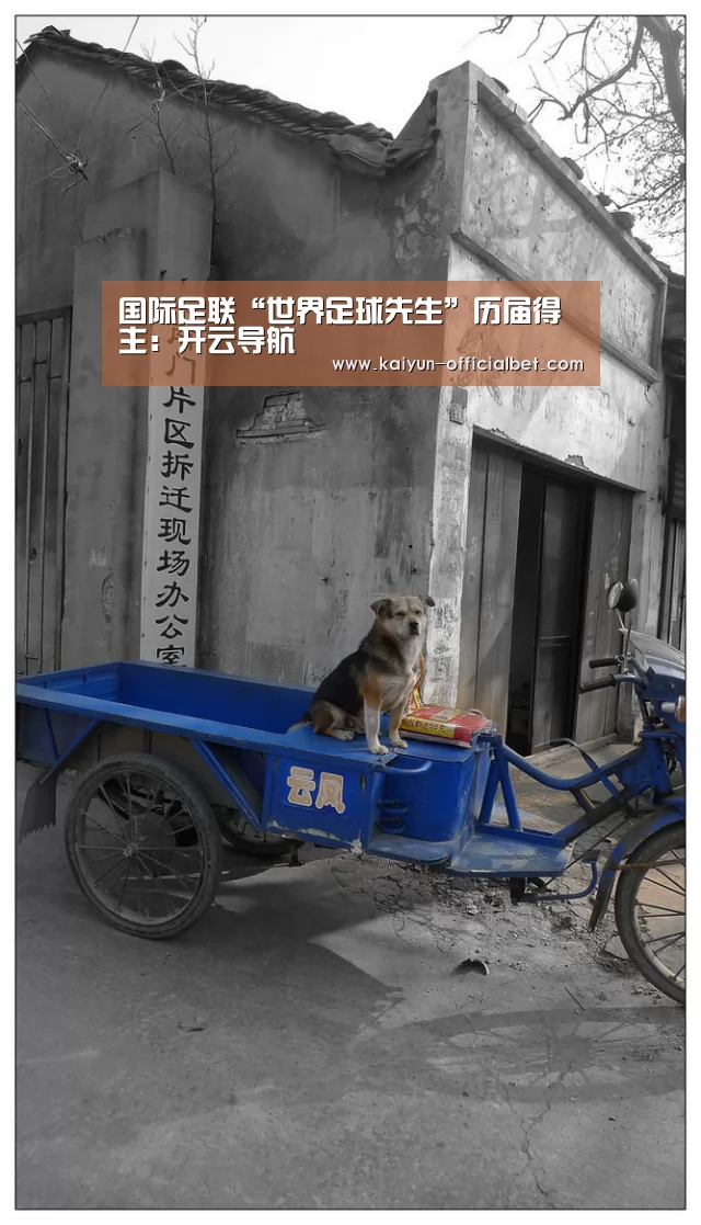 国际足联“世界足球先生”历届得主:开云导航(图2) 开云体育